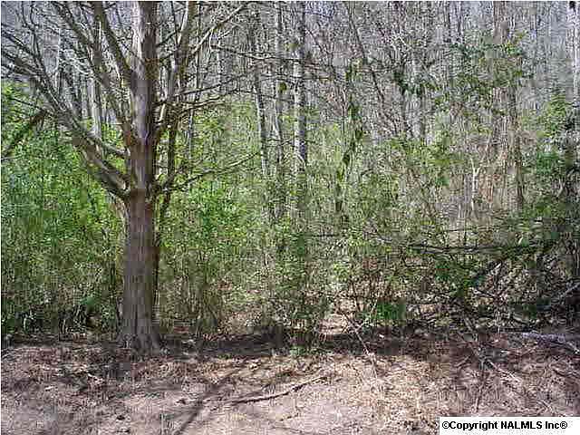 2nd image of 756 Honeycomb Valley Rd