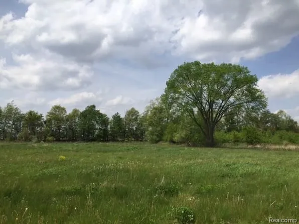 0 Adelines Way Lot 21, Fowlerville, MI 48836