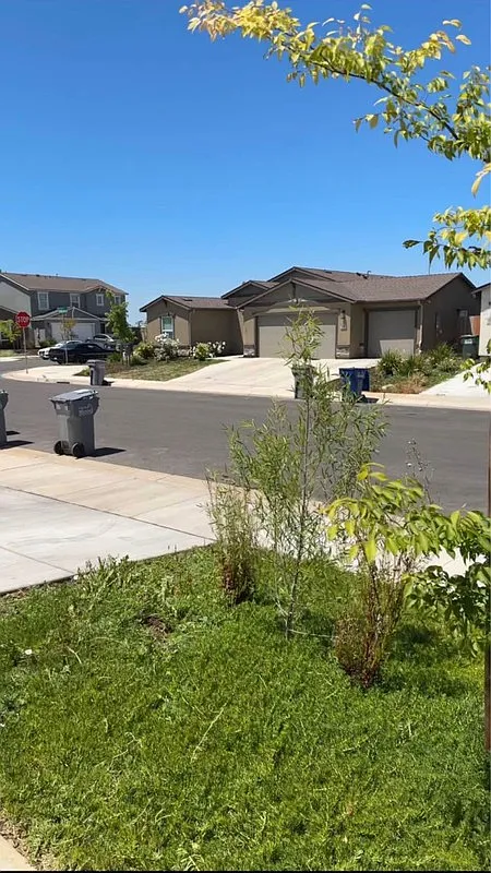 1 bed, 1.0 bath, 270 sqft, $700 — Photo 4