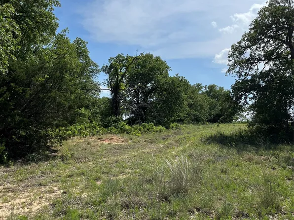 12 Clare Rd, Poolville, TX 76487