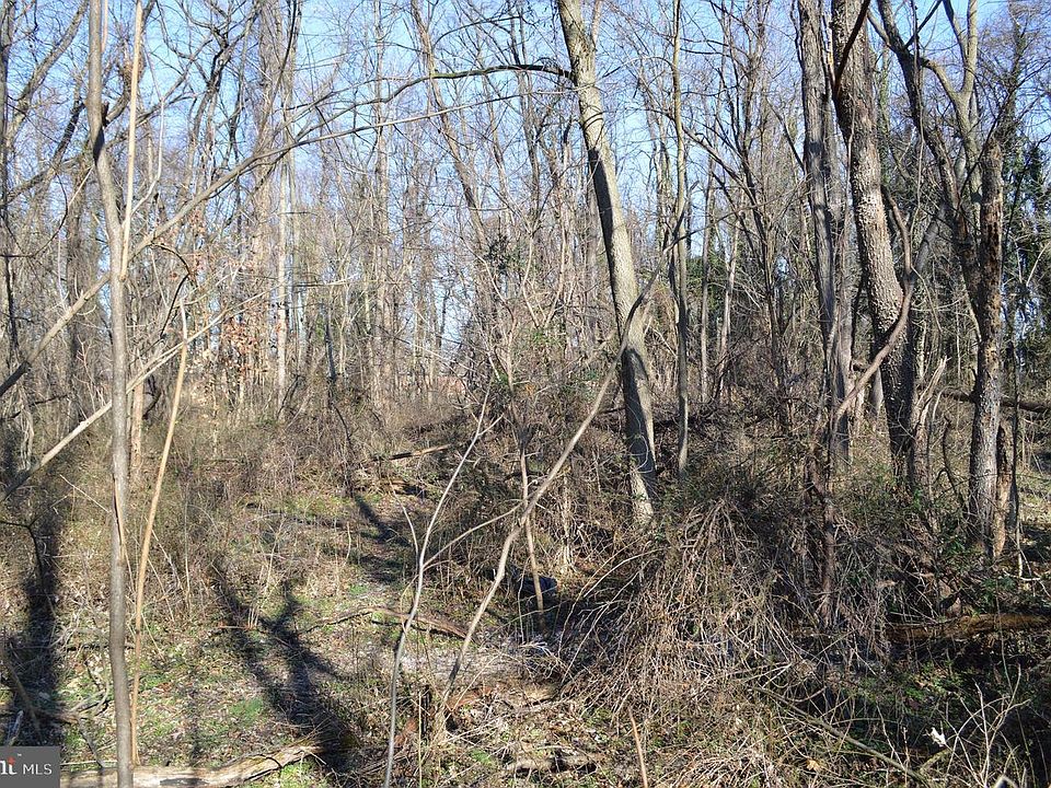 2nd image of Elmwood Rd