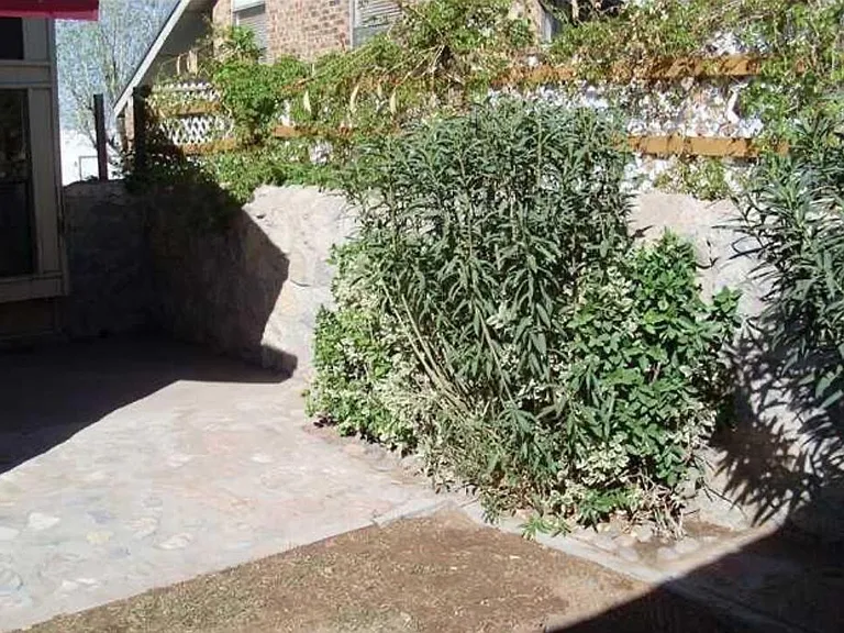 7421 Bishop Flores Dr — Photo 25