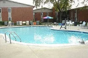 Gorgeous Pool