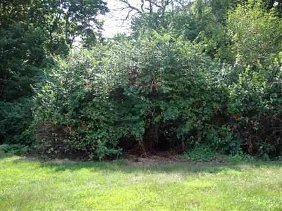 5th image of 5120 Cameron Ln