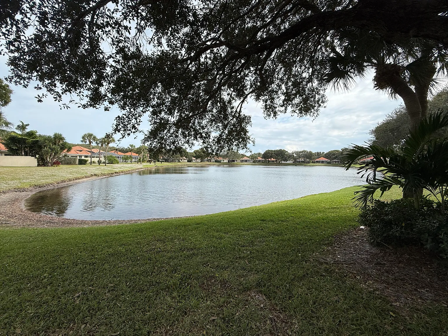 3 bed, 2.0 bath, 1577 sqft, $5,000 — Photo 3