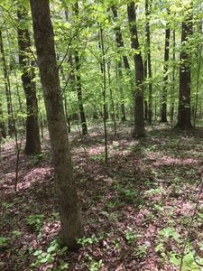 Johnston Rd 2 Lot 2, McDonald, TN, 37353