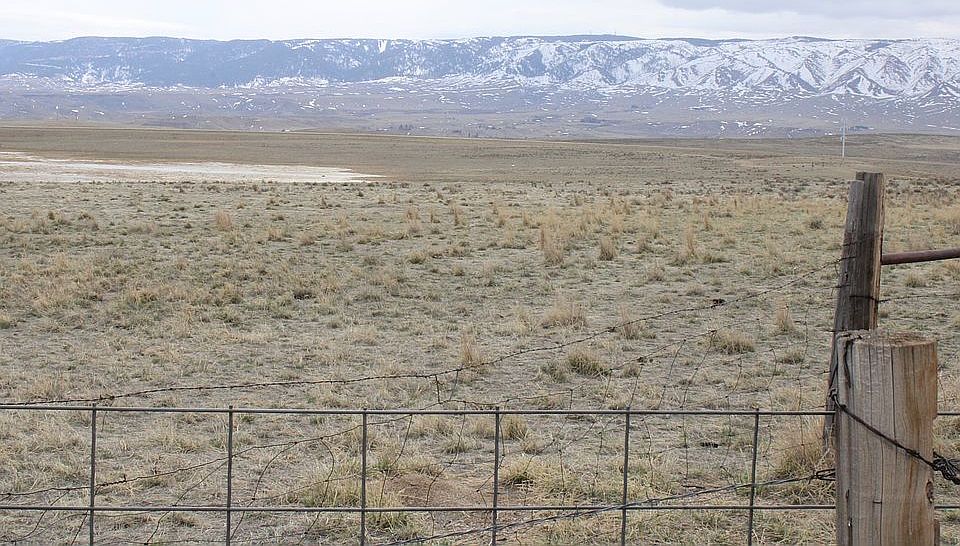 Looking SE from N property.