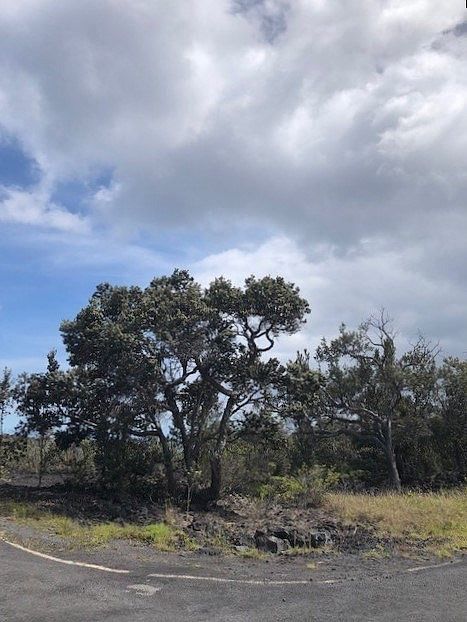 1st image of Palm Pkwy Lot 8