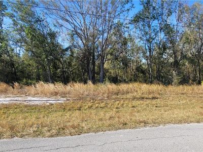 Golfview Dr, Wauchula, FL, 33873