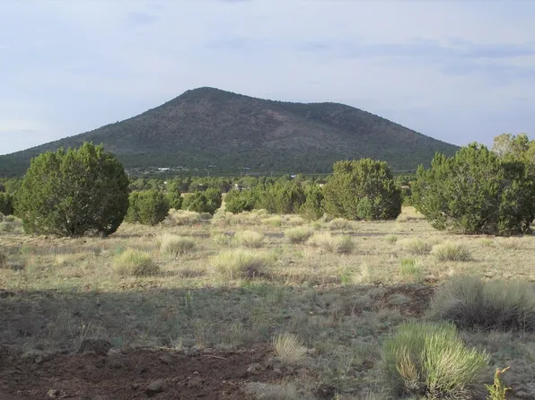 8186 N Cassity Trl, Williams, AZ 86046