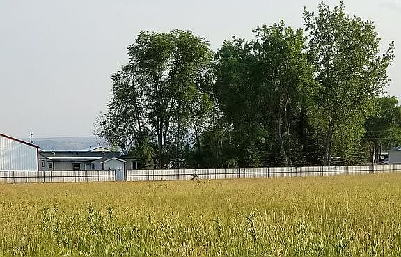 McCullough Mts background