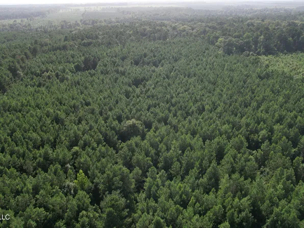 Bethel Rd, Liberty, MS 39645