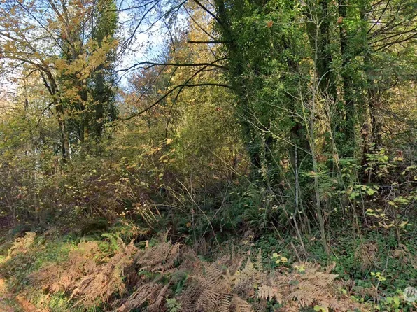 6221 Ray Nash Drive NW, Gig Harbor, WA 98335