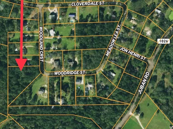 Woodridge St, Denham Springs, LA 70726