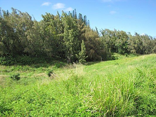 3rd image of 54-3627 Akoni Pule Hwy #B