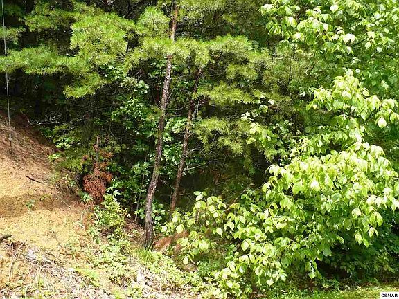 4th image of 29 Quail Way Lot 29-R