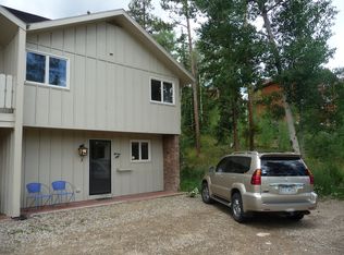 155 Van Anderson Dr #5, Winter Park, CO 80482
