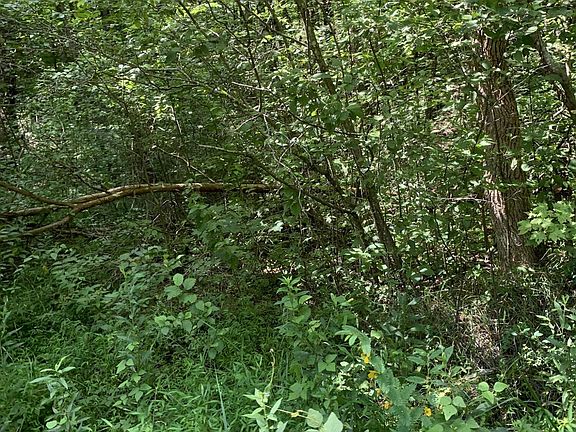 5th image of 0 Lake Heights Rd
