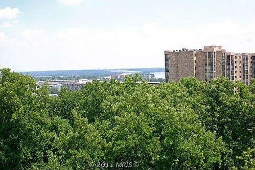 4th image of 5901 Mount Eagle Dr APT 1016