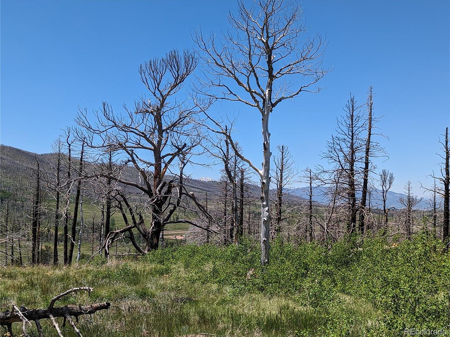 2163 Caterina Lane, Fort Garland, CO 81133 MLS 9784806 Zillow