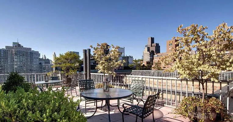 Rented by Brown Harris Stevens | media 5