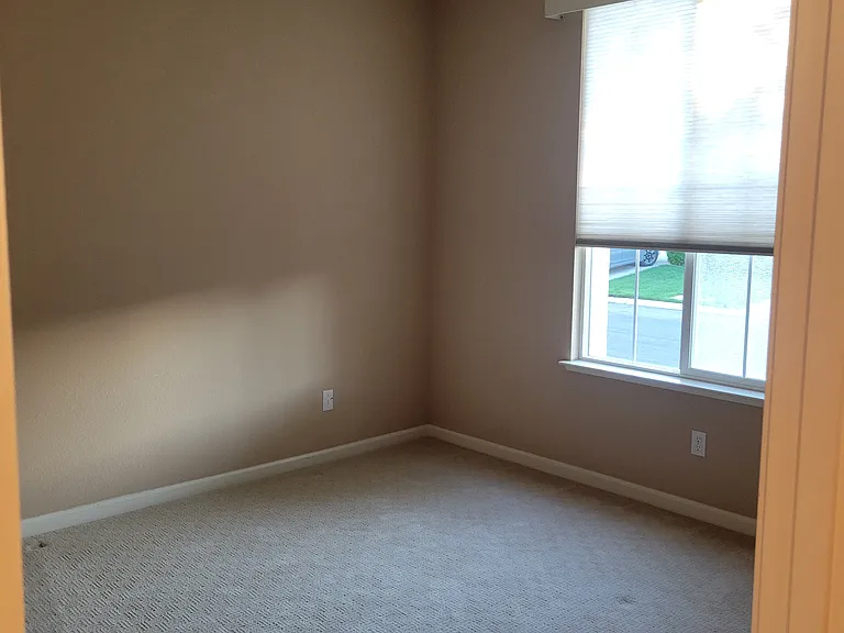 312 Willow Brook Way — Photo 19