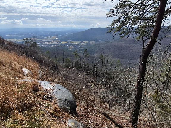 5th image of 9 Lodge Point Rd