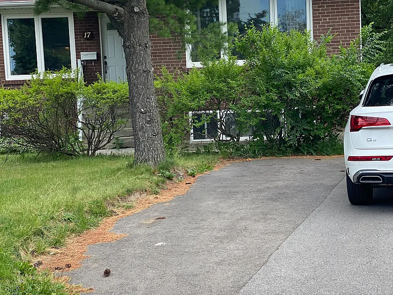 17 Gailong Ct #BASEMENT — Photo 31