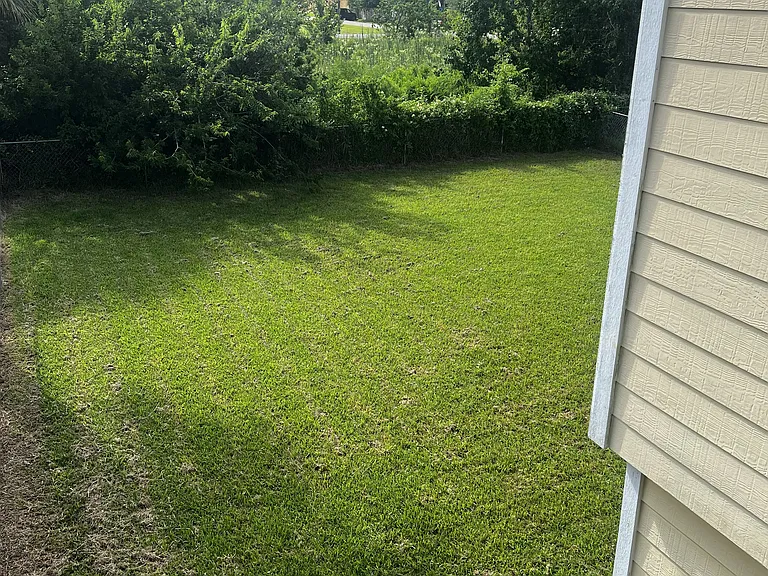 Fenced Back Yard