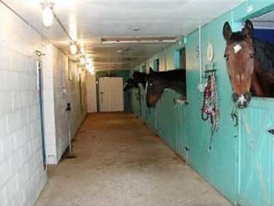 2nd image of 144 Goodell Ave