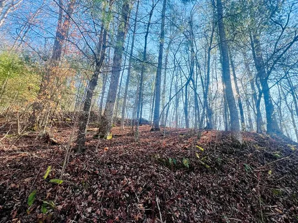 LOT 16 Emory Cir, Blairsville, GA 30512