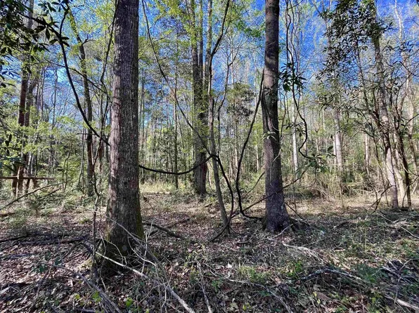40 Lillian Ln, Ethel, LA 70730