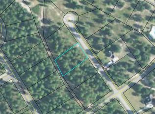 LOT 1A 24 March Hen Rd NE, Townsend, GA 31331