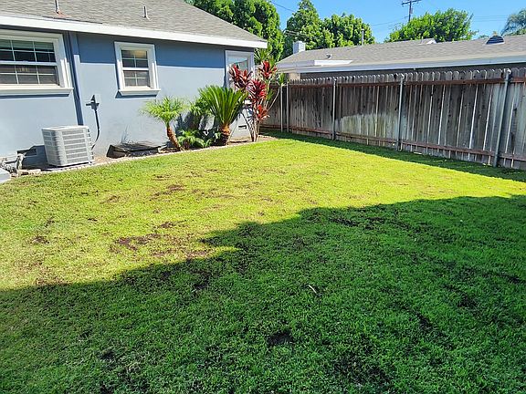 Backyard with grass and plants