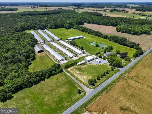 11034 Kittys Corner Rd, Cordova, MD 21625