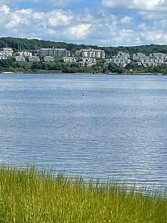 2 bed, 1.0 bath, 920 sqft, $2,900 — Photo 3