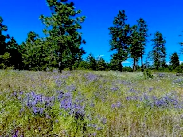 LOT Kronos Short Plat Pine Hen Ln #A, Davenport, WA 99122