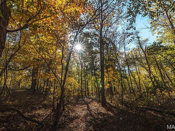 68th image of this home