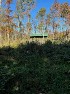 Nhn Blackberry Ln, Elmira, MI, 49730