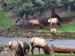 51207 Lillie Dale Rd E, Eatonville, WA 98328