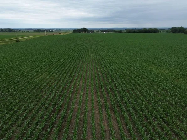 Intersection Of 454th Avenue And 298th St, Irene, SD 57037