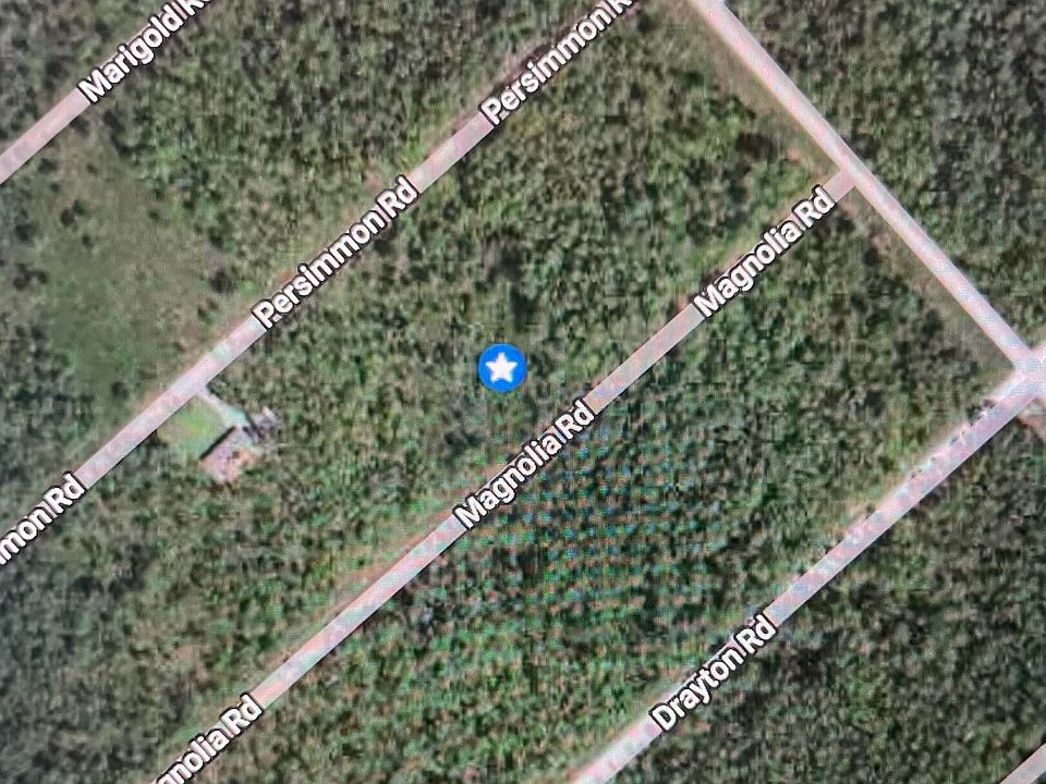 1st image of 323 Magnolia Rd