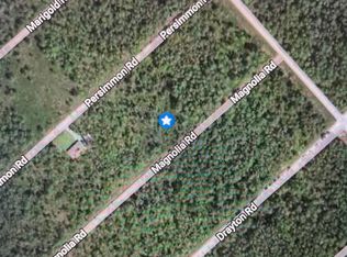 323 Magnolia Road Road, Boiling Spring Lakes, NC 28461