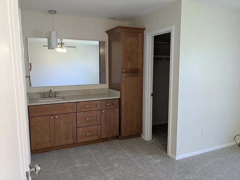 Primary bathroom vanity