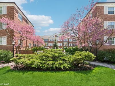 2222 Central St APT 3, Evanston, IL, 60201