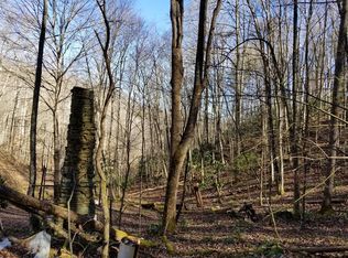 Roaring Fork Rd, Burnsville, NC 28714