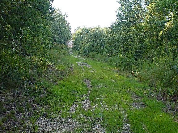 Driveway to the land.