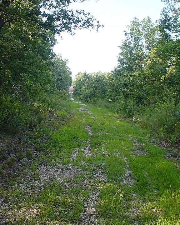 Driveway to the land.