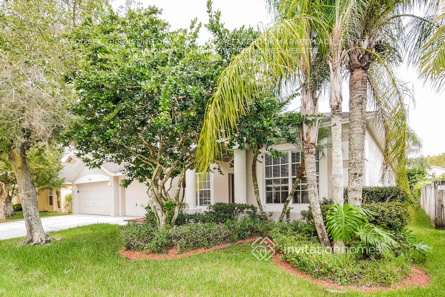 18127 Sweet Jasmine Dr Tampa, FL 33647 — Photo 3