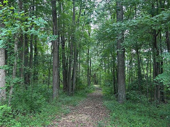 2nd image of 20275 Jackson Rd
